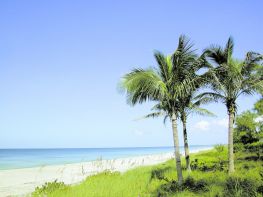 Image of The Beaches of Fort Myers and Sanibel
